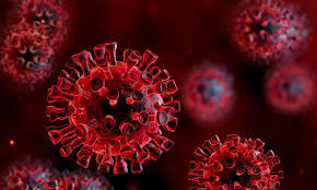 Covid-19: Global coronavirus death toll crosses half million