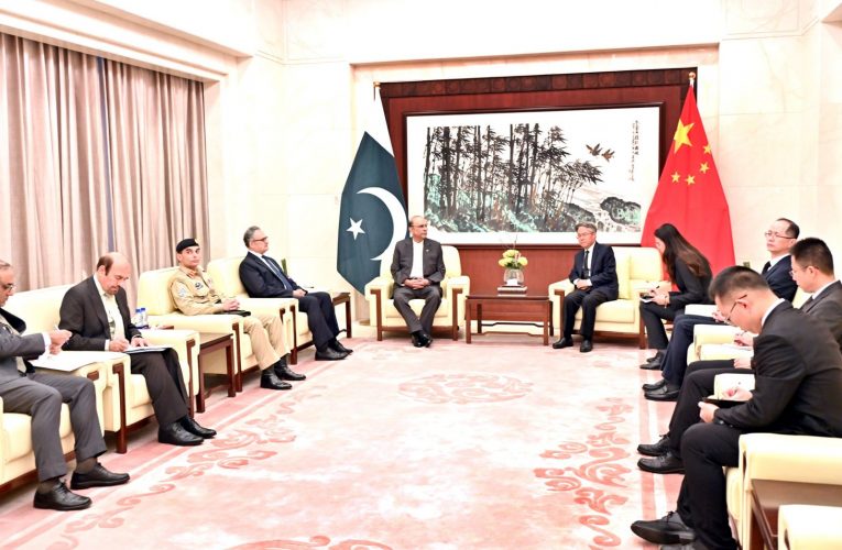 President Asif Ali Zardari meeting with the Ambassador of the People’s Republic of China, Mr Jiang Zaidong,