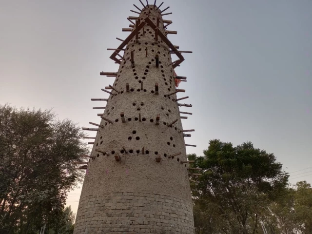 Dera Ismail Khan’s First Bird Tower Provides a New Home for City Birds
