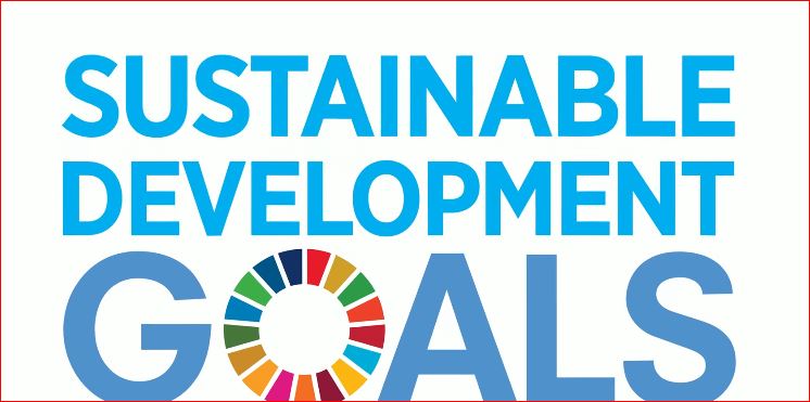 The United Nations Sustainable Development Goals (SDGs): A Roadmap for a Better Future