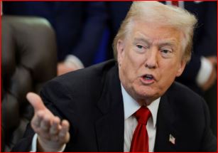 Trump’s administration halts all immigration applications from non-European countries