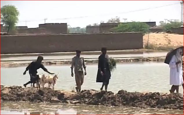 United Nations Flood Relief Program: A Global Commitment to Saving Lives and Building Resilience