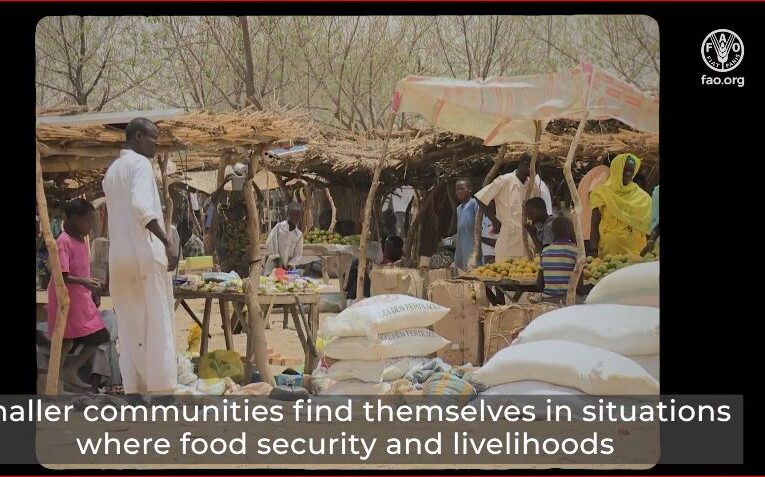 The World Food Programme: A Pillar of Global Humanitarian Action