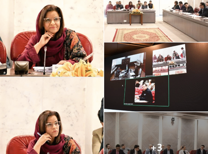 “PrieatizaAbn of Wornen’s Bank & Women’s access to  property with gender disqegregated land records “