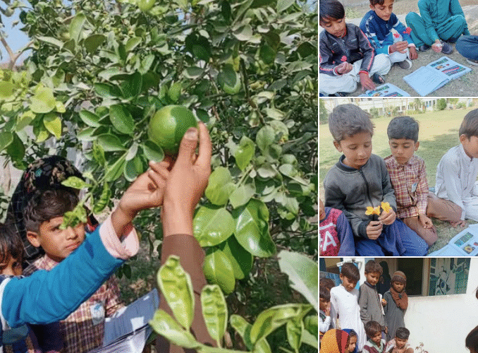 Outdoor activities at FAs Aman Elementary School in Badin District