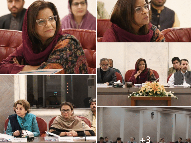 Gender Mainstreaming