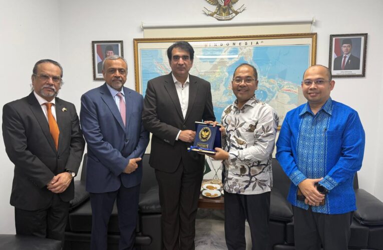 Pakistan, Indonesia Need to Strengthen Cooperation in Edible Oil Sector, CG Madzaker M.A.