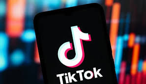 Top TikTok Searches by Pakistanis in 2025