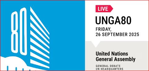 How Does the United Nations Work?