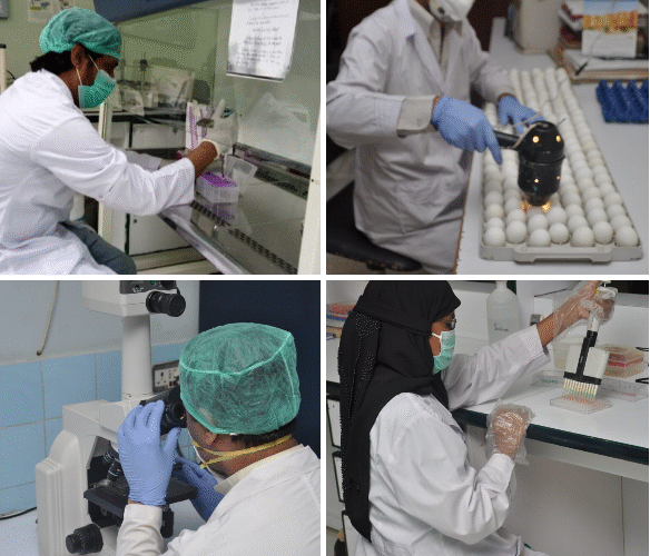 Vaccine Excellence: Sindh Institute of Animal Health Leads the Way