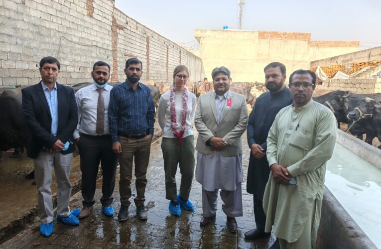 Strengthening Climate Action in Pakistan’s Livestock Sector