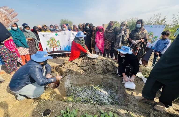FAO Pakistan marked World Soil Day 2025 under the global theme ‘Healthy Soils for Healthy Cities’ through coordinated events in all eight intervention districts of the Green Climate Fund (GCF) project ‘Transforming the Indus Basin with Climate Resilient Agriculture and Water Management’.