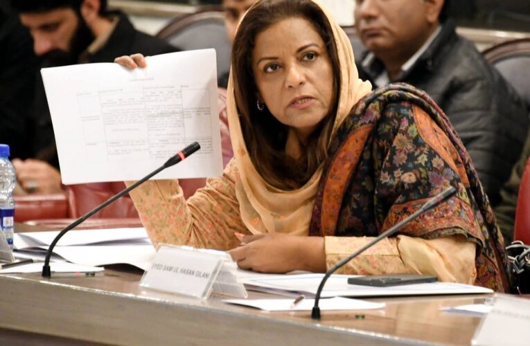 Islamabad: Central PPP Leader and Member National Assembly Dr. Nafisa Shah attended the meeting of the National Assembly Standing Committee on Finance and Revenue held today at the Parliament House.