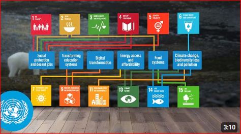 Sustainable Development Goals (SDGs) of the United Nations