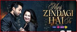 ” MERI ZINDAGI HA TU ” LATET EPISODE GIVES YOU SURPRIZE ?
