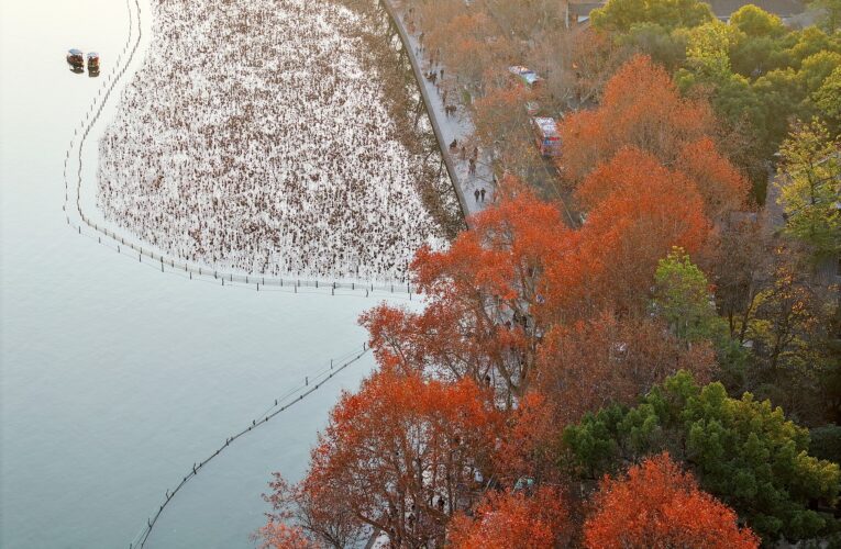 Let’s take a look at the quiet splendor of West Lake