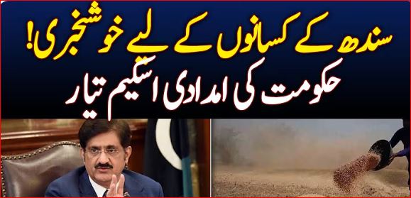 Sindh cabinet approves major reforms, development projects and wheat procurement plan