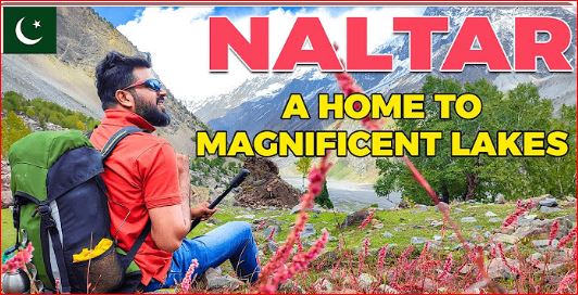 A Beautiful Visit to Naltar Valley