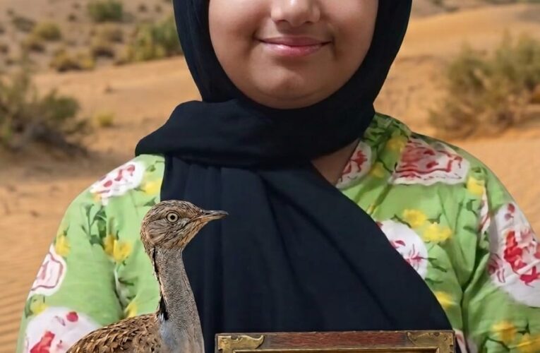 My Friend, the Houbara  By Anaya Mudassar